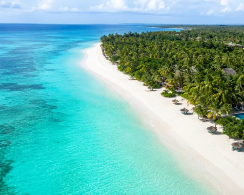 Aerial view of Zanzibar coastline with turquoise Indian Ocean water white sand beach and green palm groves, bright tropical l