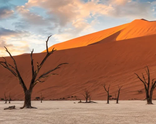 Namibia safari — towering orange dunes of Sossusvlei meeting the white pan of Deadvlei with dead trees at sunrise, dramatic d