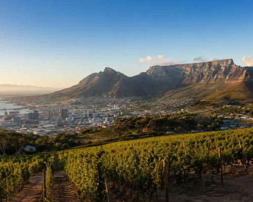 Cape Town panorama with Table Mountain rising behind the city bowl, vineyards in the foreground and the Atlantic Ocean to the