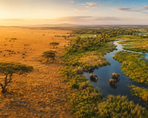 East Africa vs Southern Africa safari — split panoramic showing golden Serengeti plains on one side and the Okavango Delta gr
