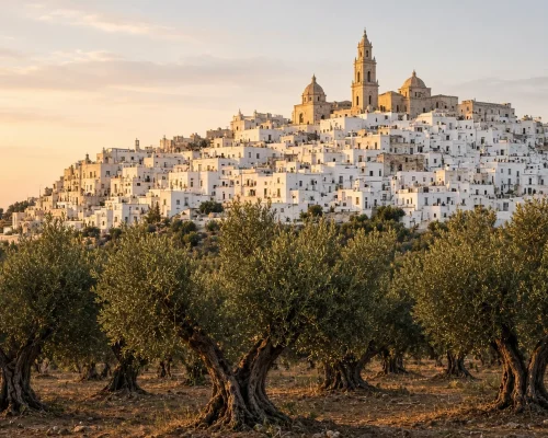 Puglia luxury travel — whitewashed hilltop town of Ostuni rising above ancient olive groves under warm evening light, wide ed