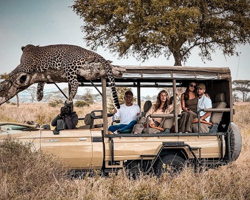 Africa Safari Journey (17 Nights)