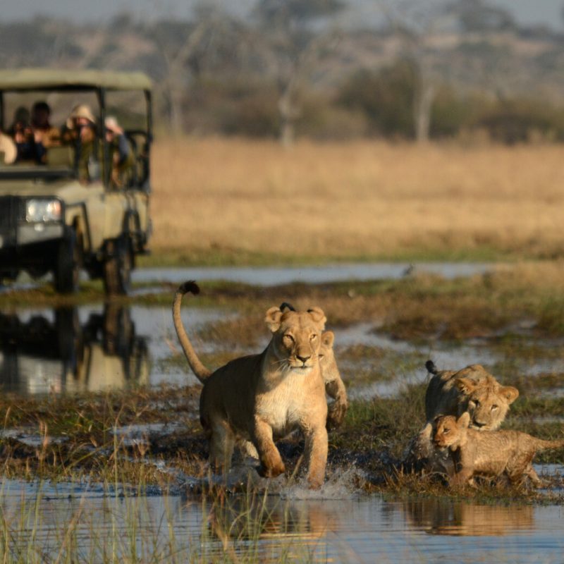 Experts in Designing Moments That Stay With You​