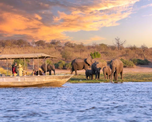 Luxury Botswana Family Safari Itinerary 6 Nights