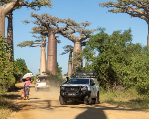 Madagascar A Remote Island Adventure (10 Nights)