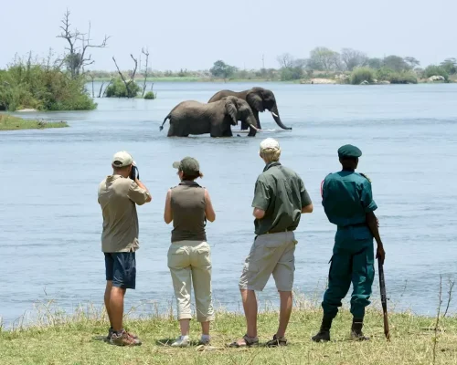 Malawi Safari Itinerary (8 Nights)