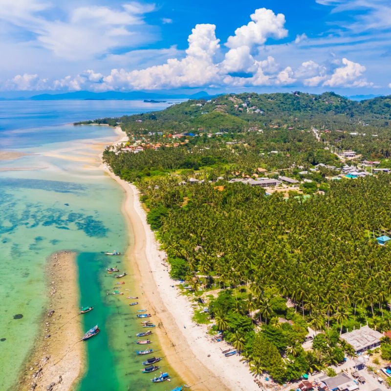 The Essence of Grenada​