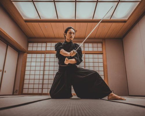 Tokyo to Kyoto: Learn the Way of the Ninja