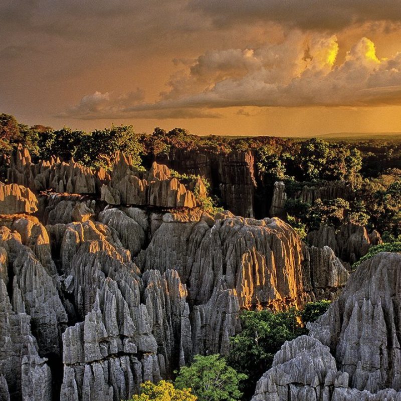 madagascar__1280x720